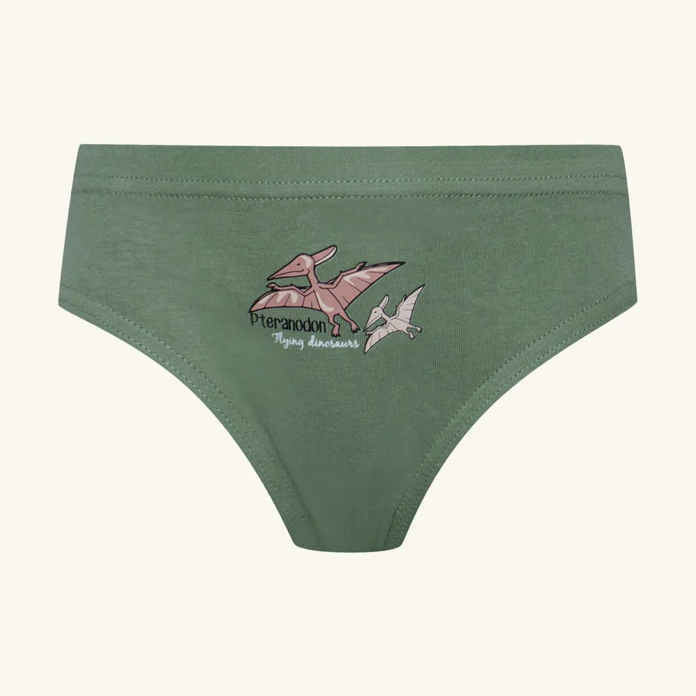 7 Pack Dino Briefs Blue