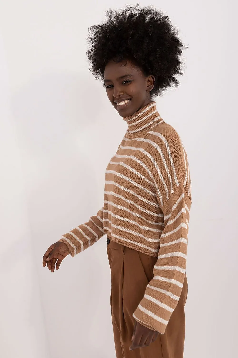 Badu Striped Cropped Turtleneck Sweater