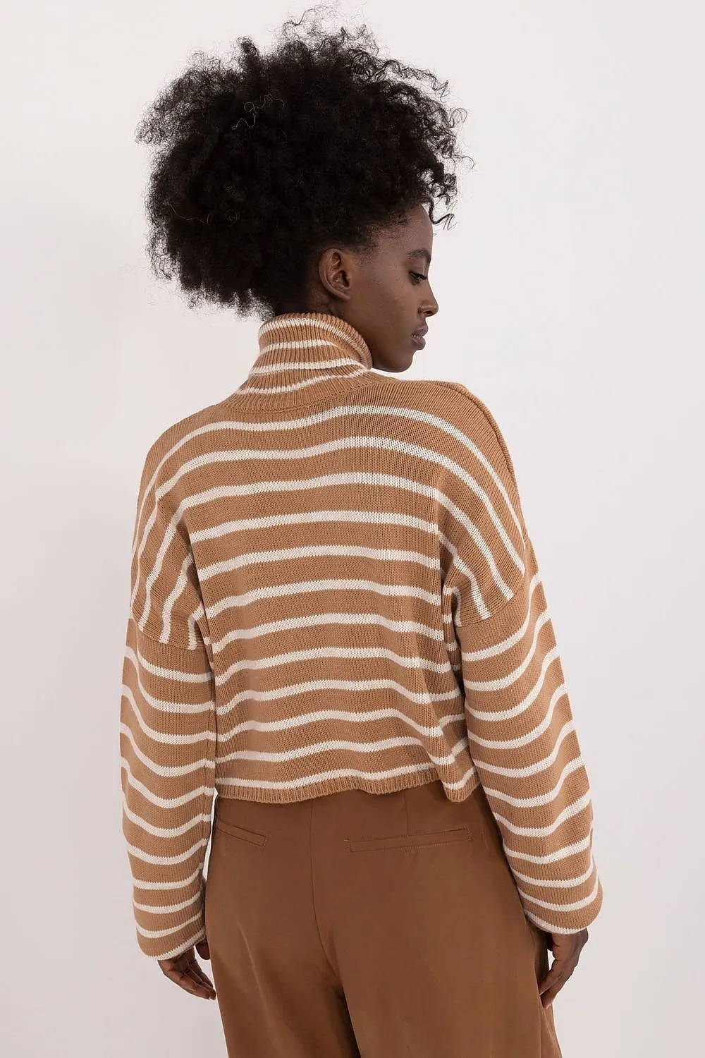 Badu Striped Cropped Turtleneck Sweater