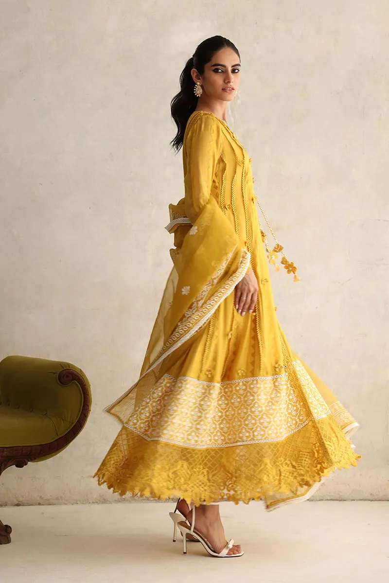 Salwar Kameez USA Online In Mustard Color 2021 #PF163