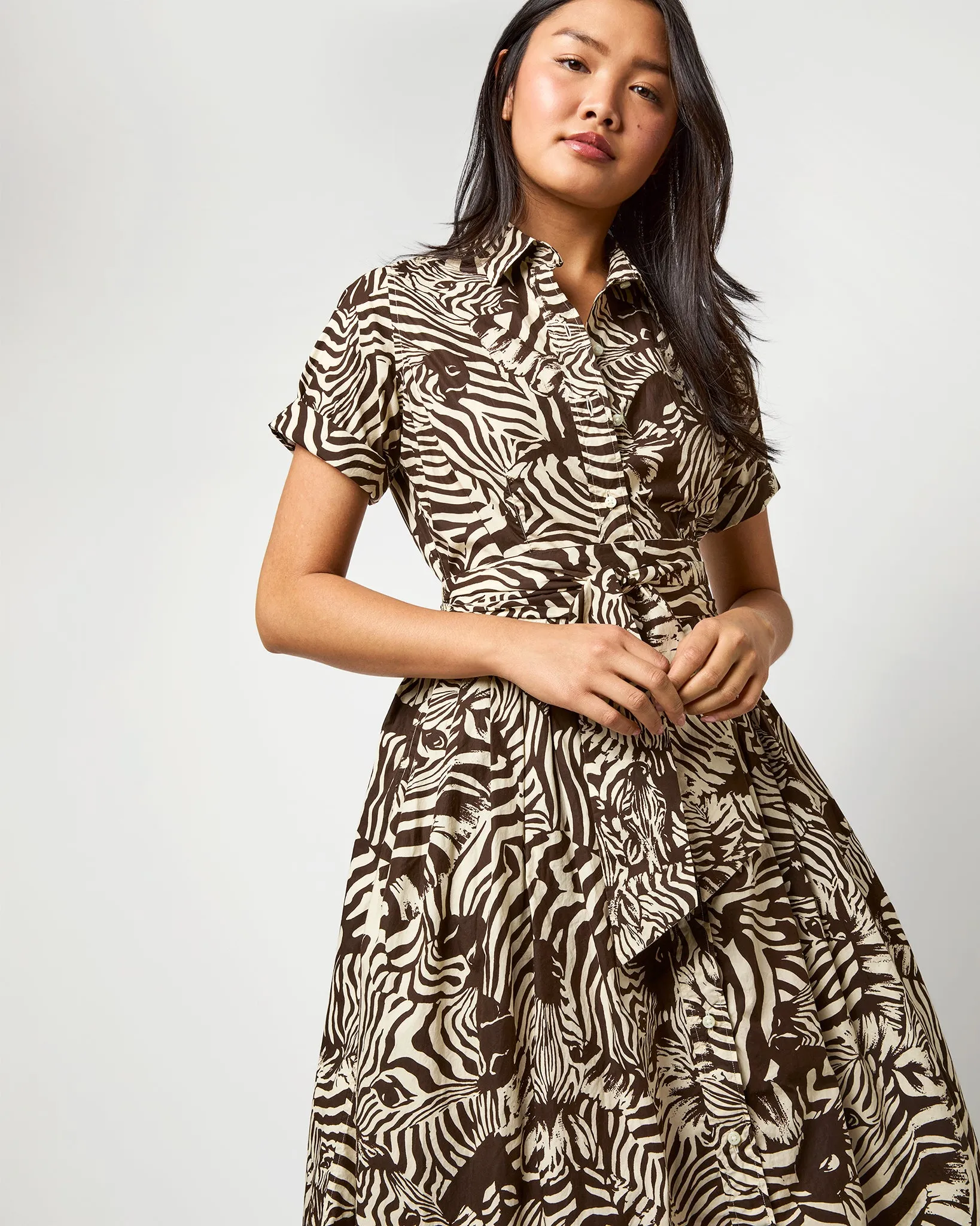 Short-Sleeved Classic Shirtwaist Maxi Dress in Ratti® Brown/Cream Zebra Poplin