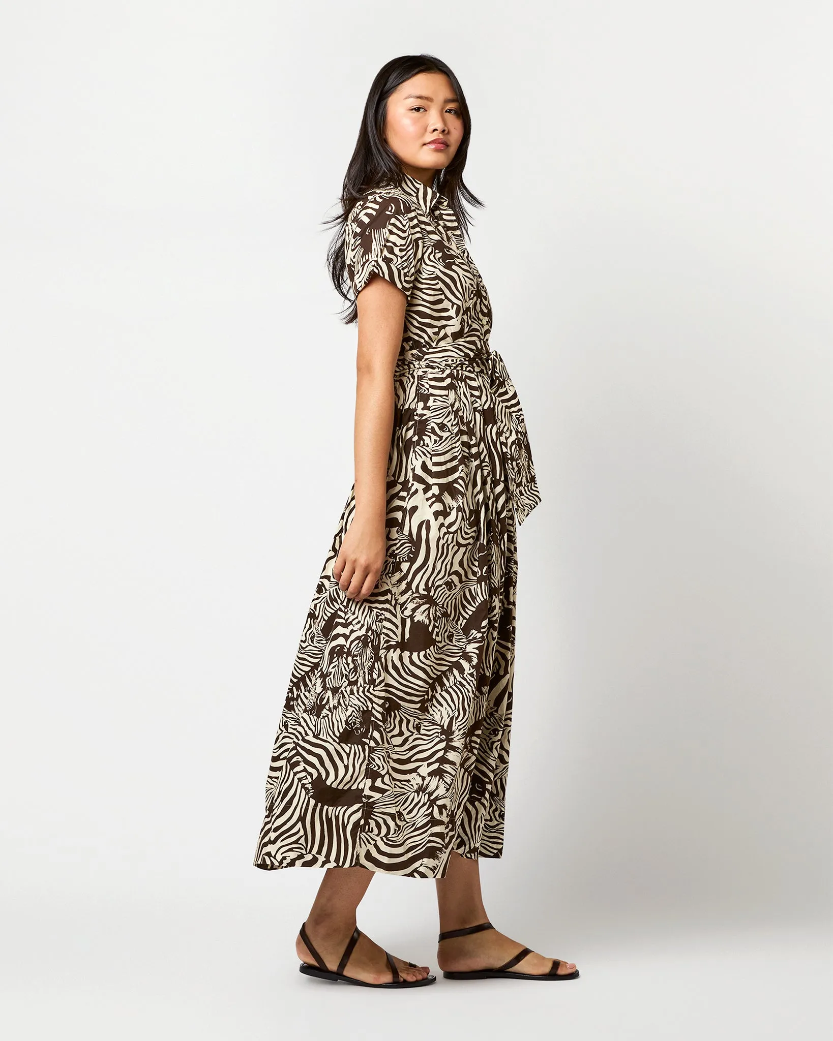 Short-Sleeved Classic Shirtwaist Maxi Dress in Ratti® Brown/Cream Zebra Poplin