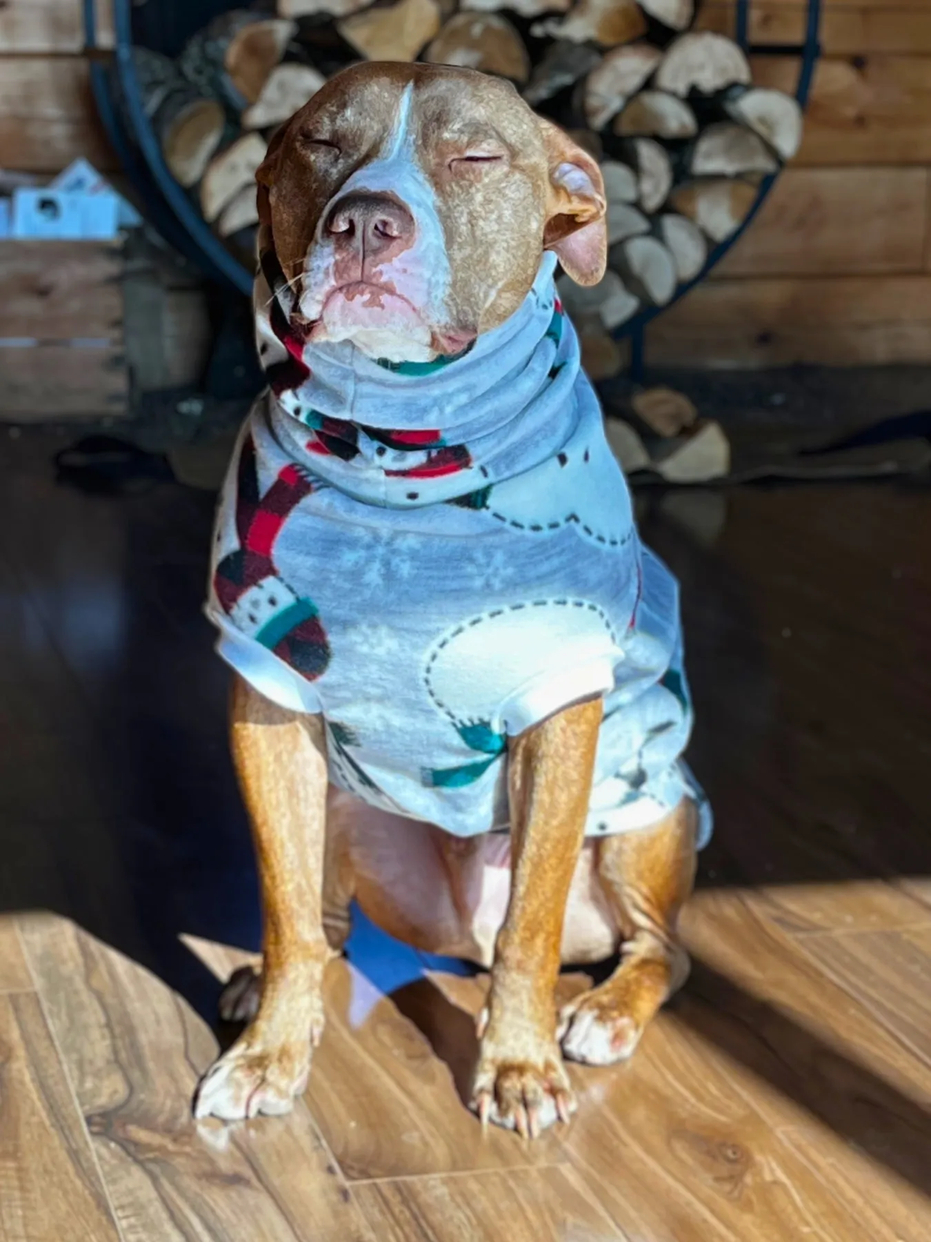 The Toasty Snowman Dog Sweater